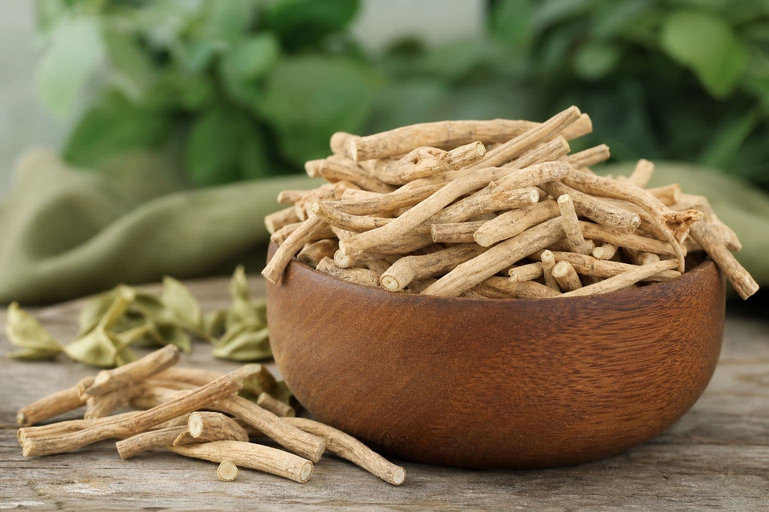 Ashwagandha roots in natural light ready for wholesale assessment