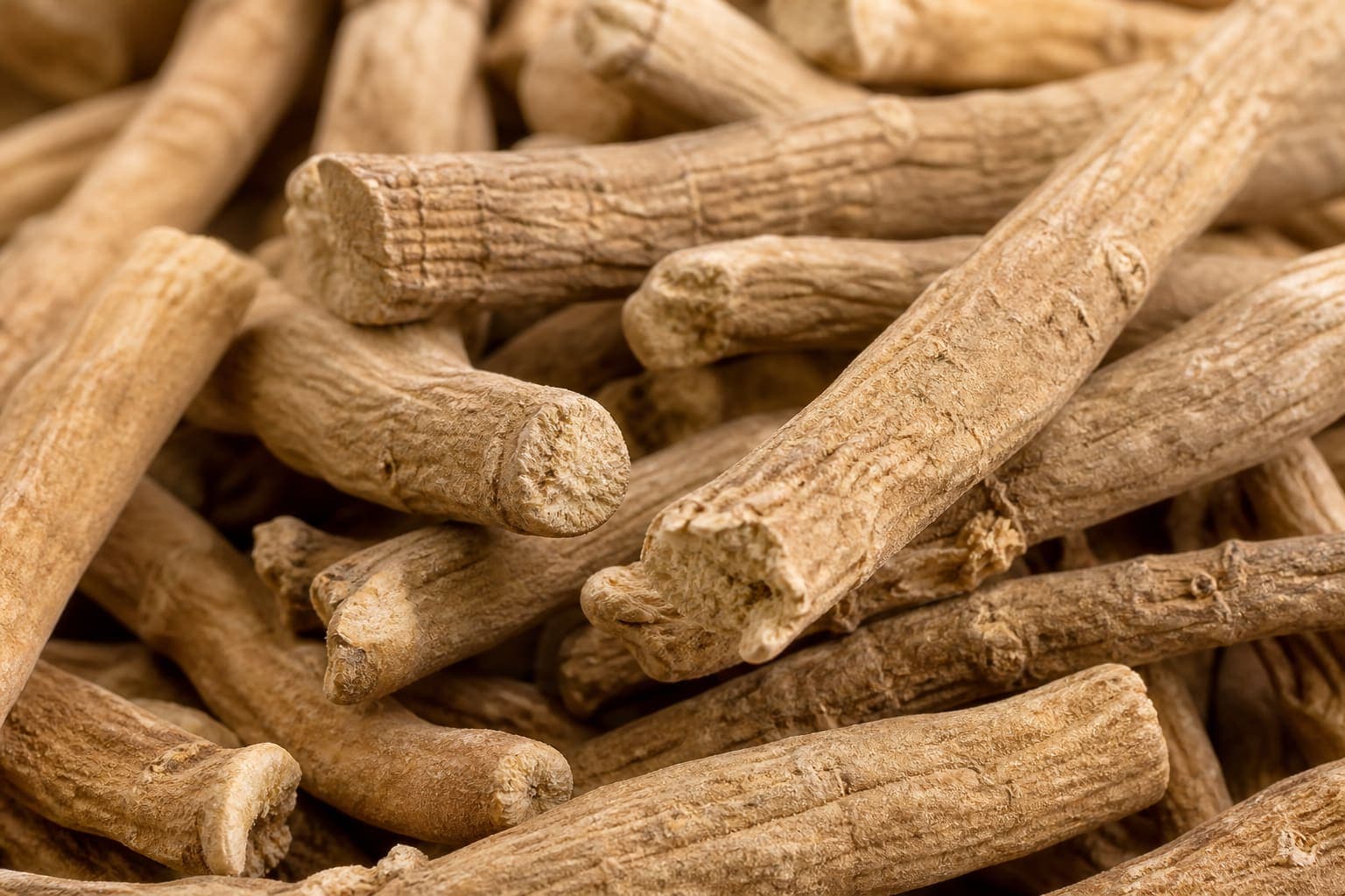Premium root material close-up highlighting texture and dryness