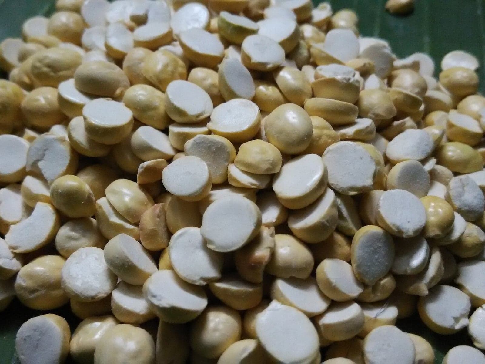 Roasted gram split ready for wholesale snack trade