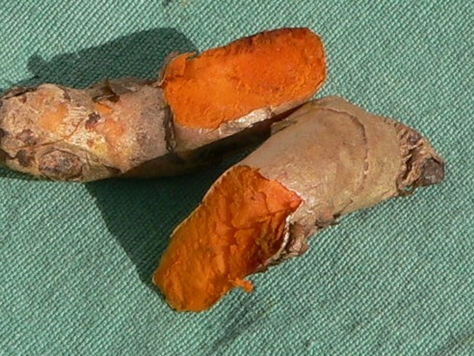 Dried turmeric bulbs for wholesale spice trade