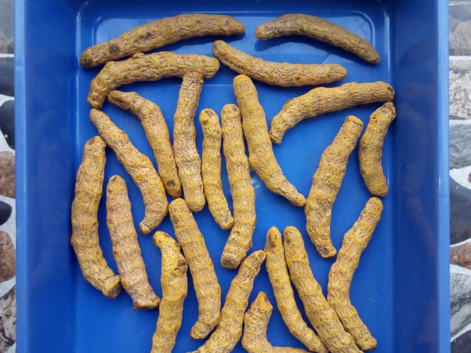 Turmeric fingers arranged for commercial inspection